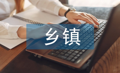 鄉(xiāng)鎮(zhèn)績(jī)效考核的問(wèn)題及對(duì)策