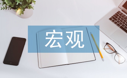 宏觀經(jīng)濟(jì)管理論文